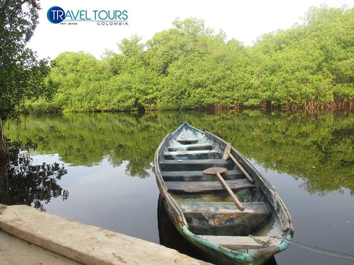 #QuédateEnCasa🏠 #JuntosAlaDistancia🤗

📸Postal desde la 🛶Ciénaga de la Caimanera🍃 en el municipio de Coveñas, Sucre.🚣

😎Disfruta desde casa hermosas postales de nuestros destinos.🌴🌴

#Viajar🚌 #Naturaleza🌱 #Playa🏝️ #Amigos😎