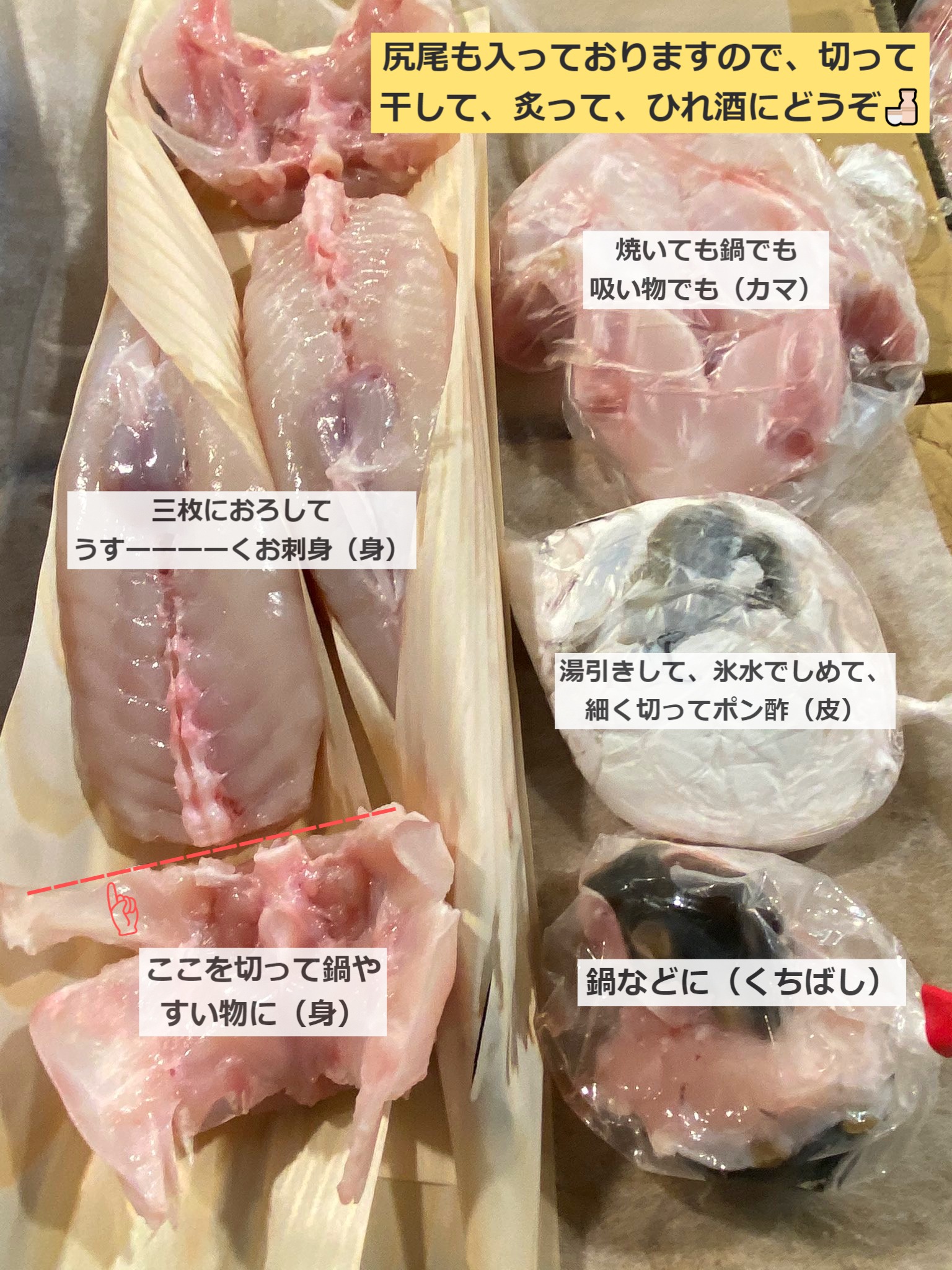 成田ヤマニ ふぐの部位ごとのお召し上がり方です 余す事なくおいしくいただけます いつもはこの値段では絶対に手に入らないものですので この機会に是非 T Co Xbwgqkuv0j Twitter 成田ヤマニ ふぐの部位ごとのお召し上がり方です 余す事なくおいしくいただけます いつもはこの値段では絶対に手に入らないものですので この機会に是非 T Co Xbwgqkuv0j Twitter