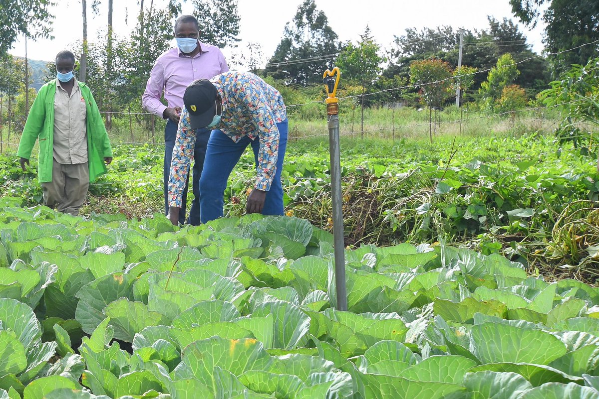 WilliamsRuto's tweet photo. We are also investing in various infrastructural projects such as the construction of the Marengeta Dam, which is part of dams that will benefit more than 120,000 households countrywide. https://t.co/fYbquktZxb