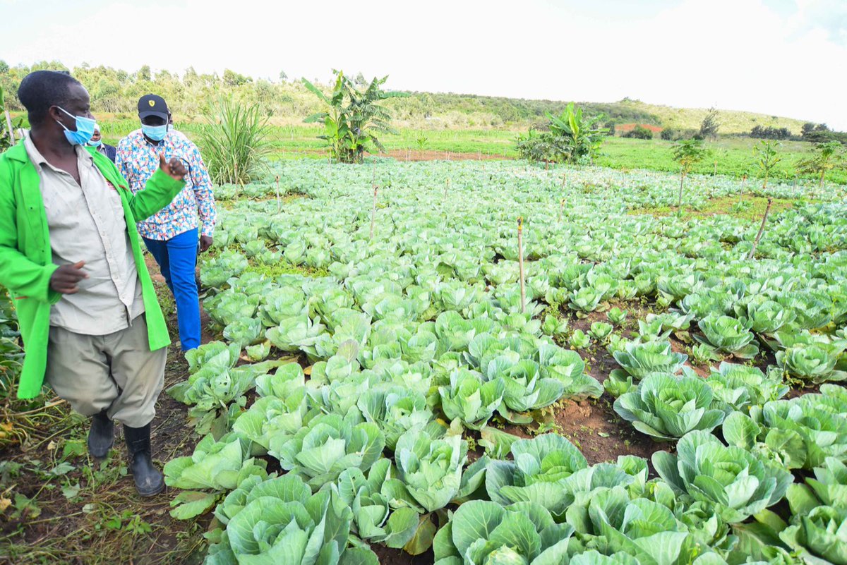 WilliamsRuto's tweet photo. We are committed to ensuring that vulnerable Kenyans are supported during this tough period of the COVID-19 crisis besides coming up with broad plans that will facilitate the country’s rapid recovery from the disease. https://t.co/a11g1LFGxK