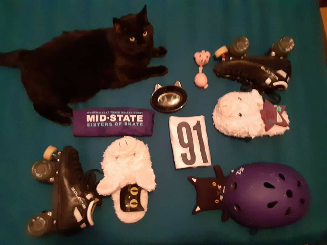 midstateRD's tweet photo. Hi Felix! Thankfully he doesn't clash with the color scheme of this skate palette ๐๐
#mssos #rollerderby #rollerskates #skatepalette #skatepalettechallenge https://t.co/OpHLLzJ56R