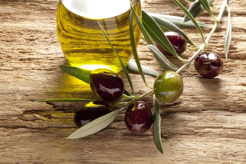 ThinkgreenG's tweet photo. Πασίγνωστες &amp; πολυαγαπημένες οι ελιές Καλαμάτας ξεχωρίζουν τόσογιατί έχουν μεγαλύτερα φύλλα σε σχέση με τα άλλα είδη ελαιόδεντρων τόσο στην υπόλοιπη χώρα όσο &amp; παγκοσμίως, &amp; έτσι απορροφούν περισσότερο φως του λαμπερού ελληνικού ήλιου. #ελιά #ελια #καλαματας #μεσογειακηδιατροφη https://t.co/ChPHRh0Ksw