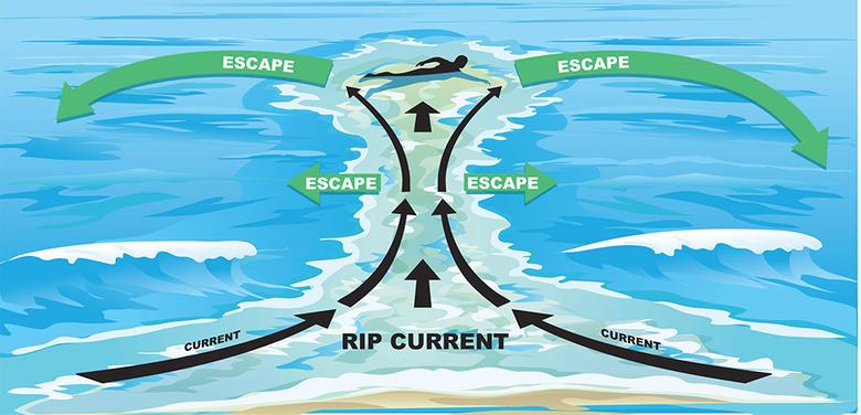 Ariya Daivari tweet media