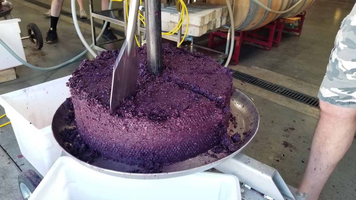 GrapeExNV's tweet photo. "Cake" for the Master Gardeners composting program. πβ»οΈπ #mastergarders #compost #recycle #giveback #grapemust #winemaking #winery #grapeexpectations #vegaslocal #hendersonlocal https://t.co/za8sz4QNBr