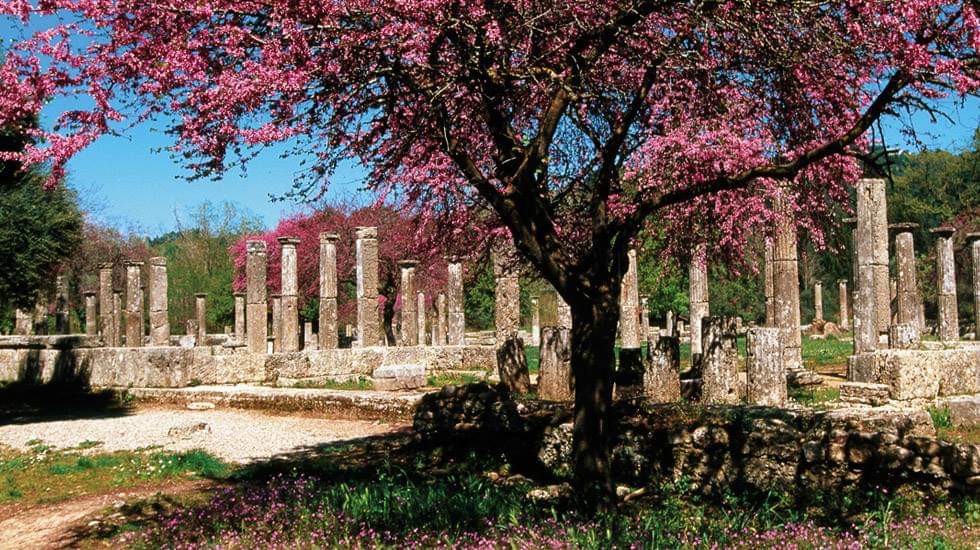 When the Gods meet Nature.Spring in Ancient Olympia #ancientolympia #Greece