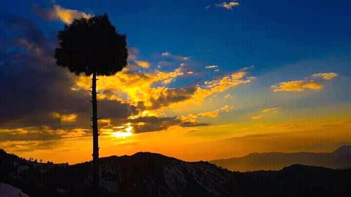 Mahaban704's tweet photo. #Tarinan #Mahaban #Barchar https://t.co/SDMDaAXpKE