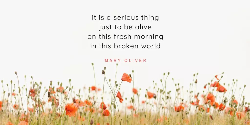 #itsnotaboutyou #servehumanity