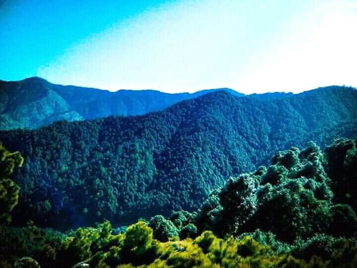 Mahaban704's tweet photo. #Tarinan #Mahaban #barchar https://t.co/bKPfOmrHDz