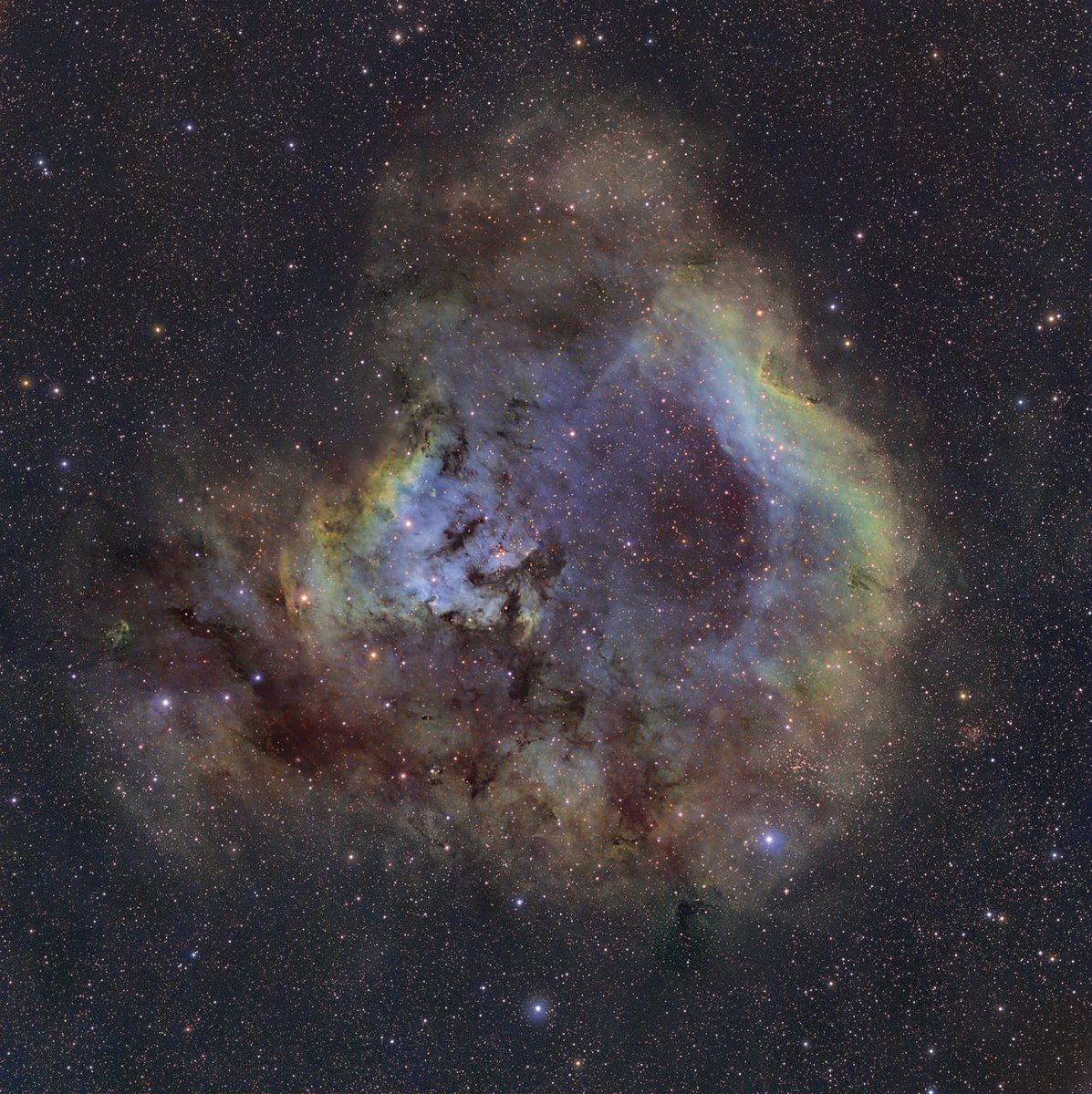 astrogid's tweet photo. NGC 7822 в Цeфee https://t.co/7jjvxv9BhK