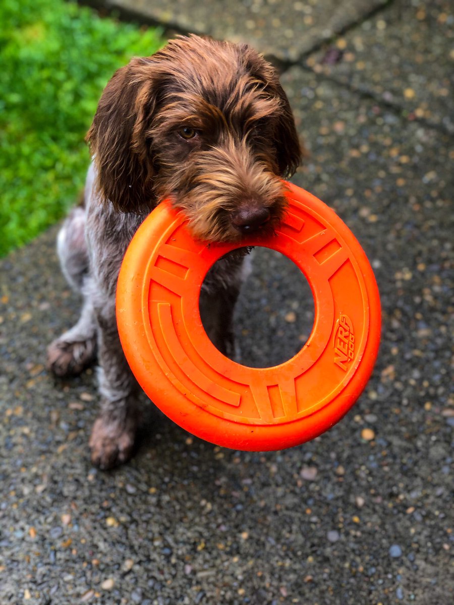 Paula Findlay tweet media