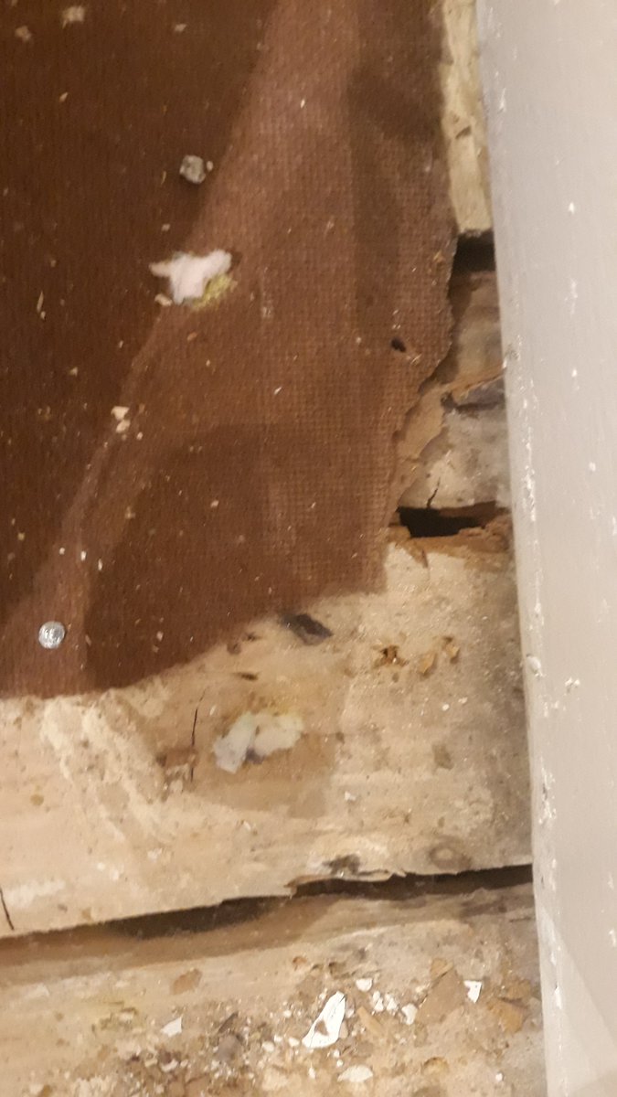 DampSurvey's tweet image. Loose tiling caused dry rot in this lower ground garden flat in SE4.

Buying a London flat?

For honest, expert damp and timber advice 🧐:

citydampsurveys.co.uk

#dampsurvey 
#dampandtimber
#dryrot