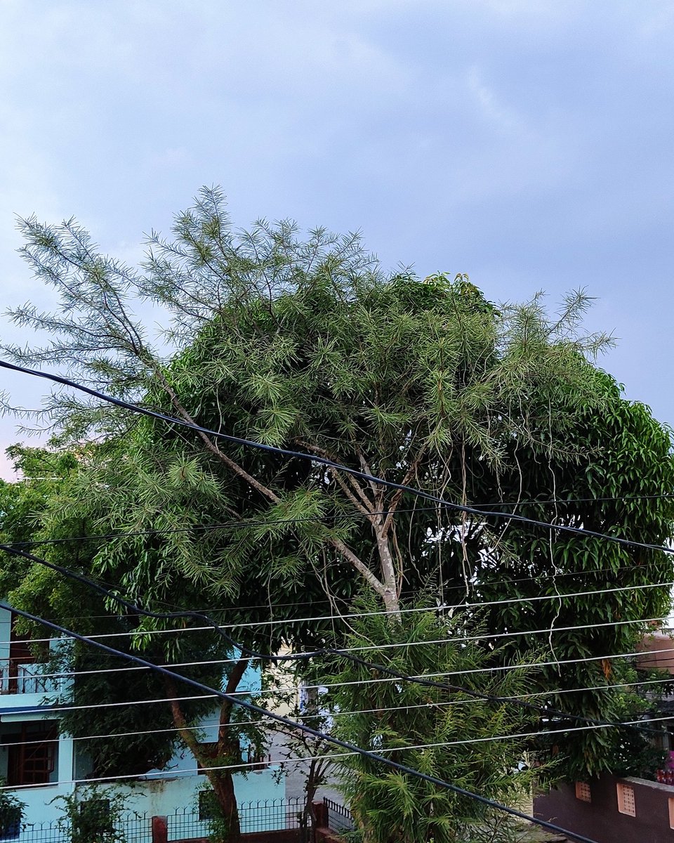 Superpower of lockdown: Nature's healing on it's own..

I request every citizen of India to take care of our planet.. this lockdown has teached us how much brutality we have done to our earth.. 

Post lockdown : Be very careful.