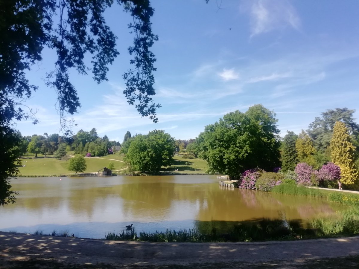 Social distancing in Dunorlan Park