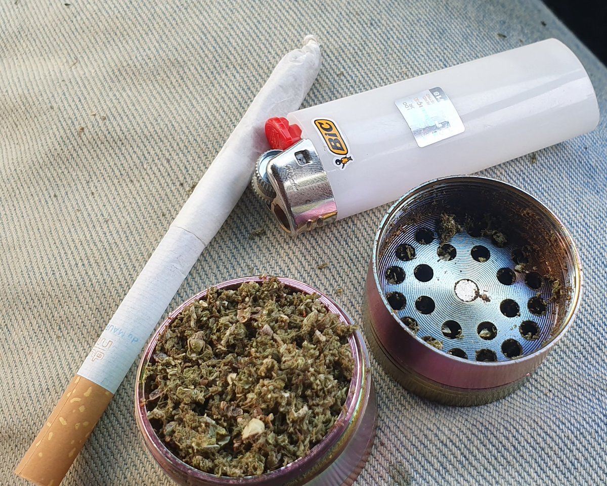 8Brigo's tweet photo. Home grown HG #gelato #loud #420fromhome https://t.co/0Bus8xgvV1