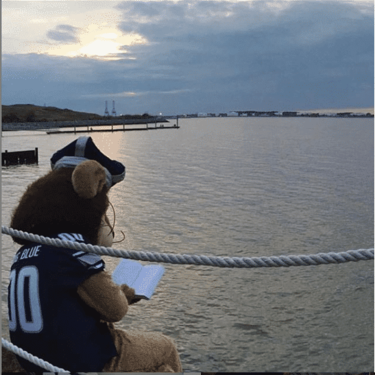 My Plans:                                                                                    2020: