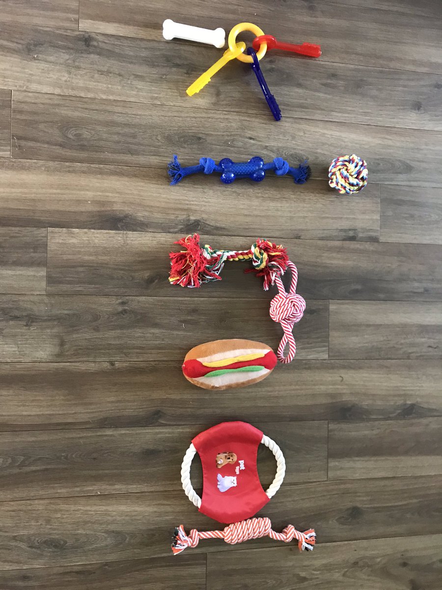 MrsBurnKPS's tweet photo. Mrs Piper’s Art Challenge completed by the Burn family  - the word ‘kind’ made with dog 🐶 toys @MrsPiperKPS @KnightsridgePr1 https://t.co/5vqbisbqN2