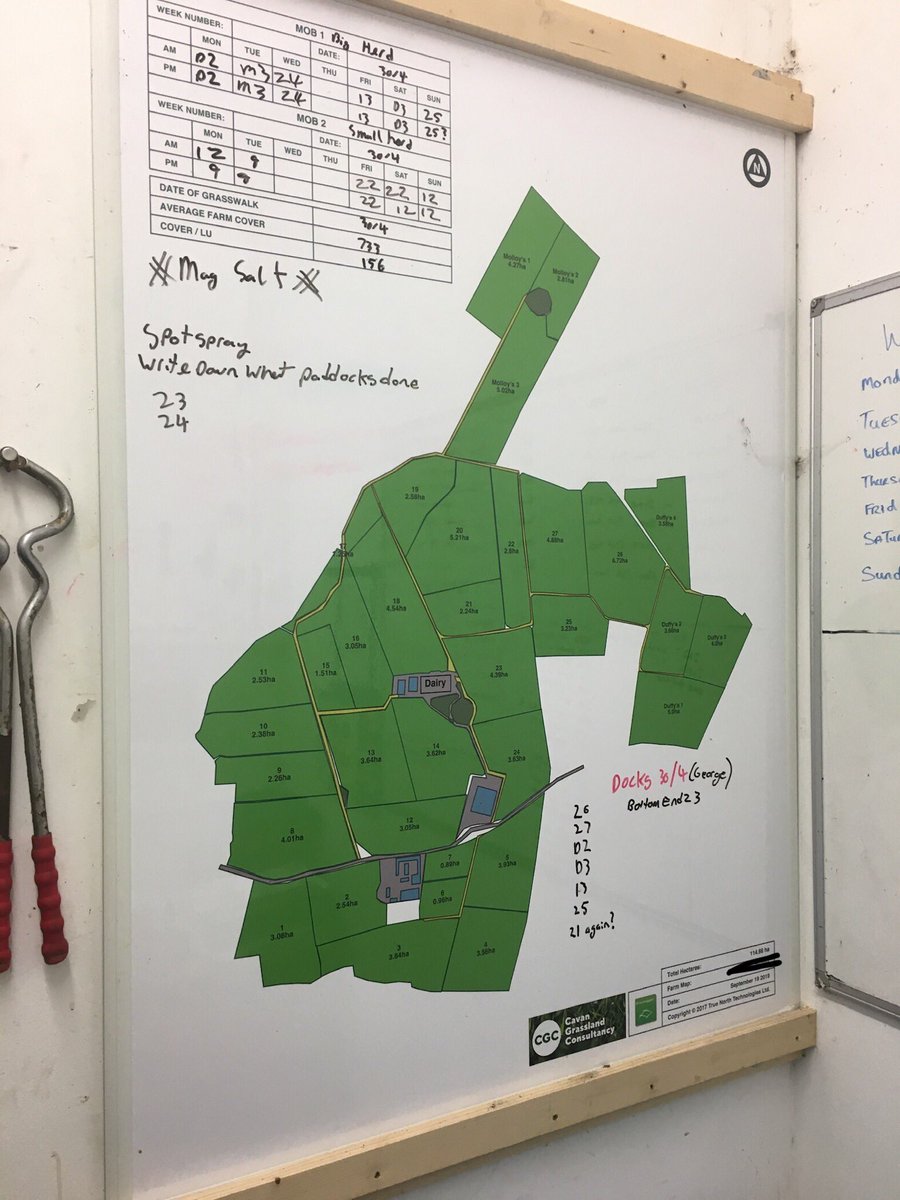 CavanGrasslands's tweet photo. A few photos sent in by clients showing how easy planning grazing allocations and communicating to other staff is using the planners on our wall charts/whiteboards.The farm map is an essential tool for efficient grass based farming.If interested feel free to get in touch today! https://t.co/9dP3Zjxb3n