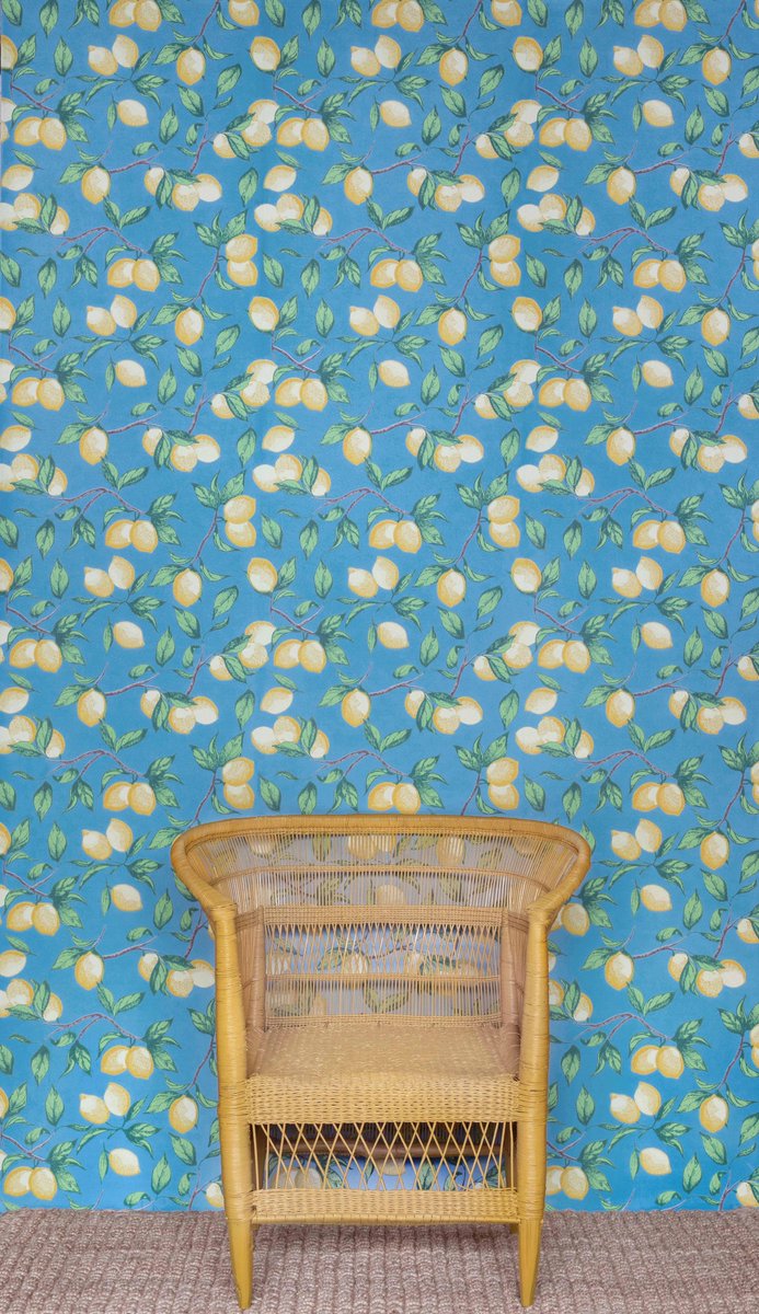 Capri Lemons’ wallpaper in Azure blue from <a href="/BarnebyGates/">Barneby Gates</a> .
Find out more about them on The Interiors Index: worldofinteriors.co.uk/united-kingdom…