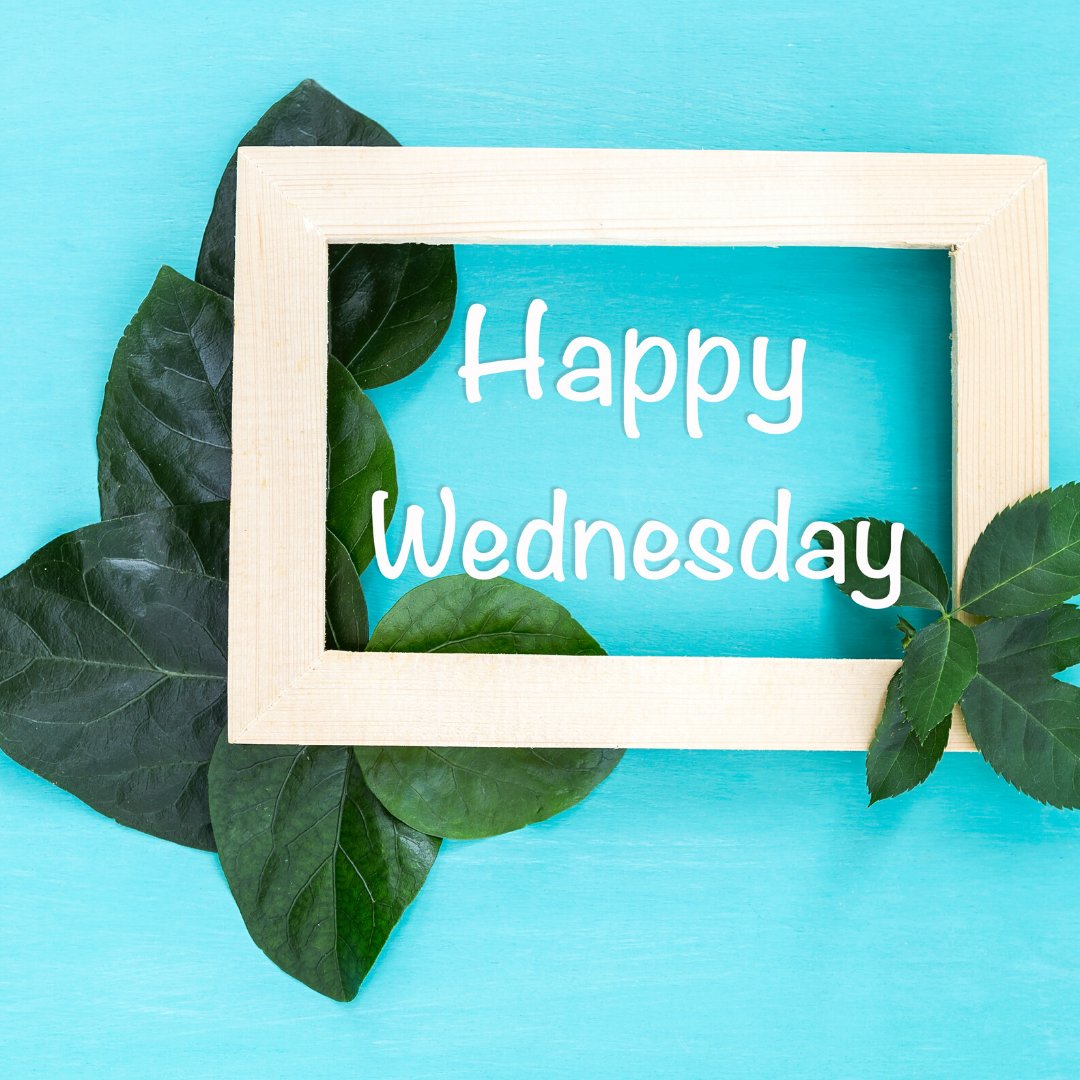 Flo2s_Spa's tweet photo. Happy Hump Day!  What's happening in your world?
#HumpDay https://t.co/uRYzBNBo91