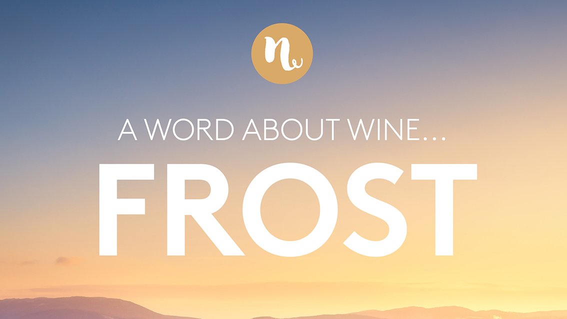 Our Wednesday WORD ABOUT WINE this week is all about frost and the effect it can have on vineyards. Check out our article over on Instagram instagram.com/p/CAarFbZhGKj/
and find out more about the grape's constant battle with mother nature. #wine #champagne #supportlocal #chablis