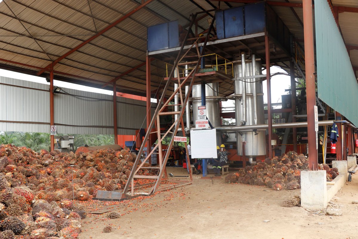 Day 2 of the E-training for #oilpalm processing companies on the #standard for <a href="/RSPOtweets/">Roundtable on Sustainable Palm Oil</a> just ended. Today's class focused on 'How to carry out a baseline using the #RSPO standard. <a href="/Solidaridad_wa/">Solidaridad West Africa</a> through #SWAPP is doing this in collaboration with <a href="/UNIDO/">UNIDO</a> <a href="/GQSPGhana/">GQSP Ghana</a> <a href="/GQSPglobal/">Global Quality and Standards Programme (GQSP)</a>