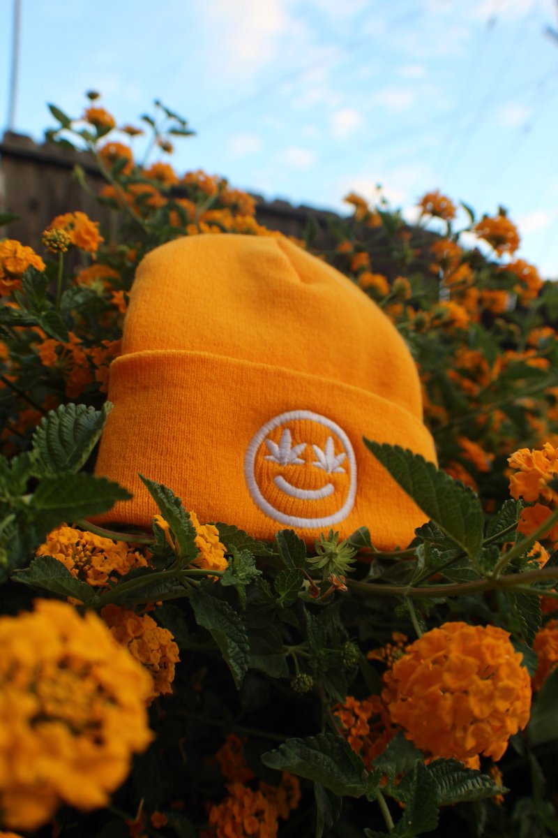 STONEYFVCED's tweet photo. NEW BEANIE RELEASE! + SALE!
THE DAB HONEY BEANIE IS NOW AVAILABLE ONLINE @ https://t.co/ShZ6DmWSIp 🍯✨ https://t.co/Ss1hIB1ZG1