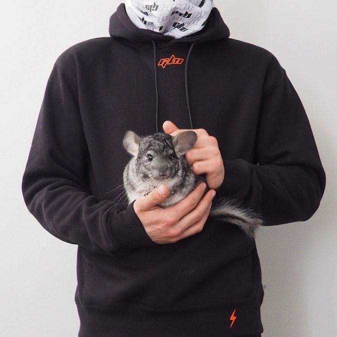 Two of our favourite things in one picture - GLO and animals 😍