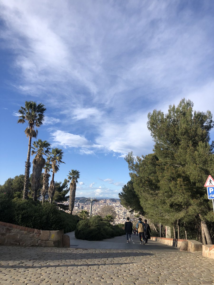 AlternativeBcn's tweet photo. Barcelona has many beautiful point of views and Montjuic is one of them🌿 This picture was taken from the Castle of Montjuic🏰  #montjuic #barcelona #photography https://t.co/QoyJqz8omR