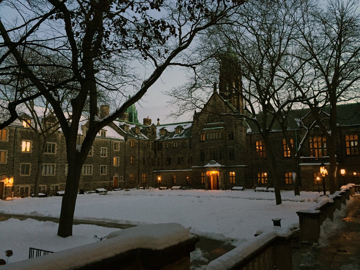 Trinity_College's tweet photo. #SpecialSpacesatTrinity takes you to our beautiful Trinity Quad through the seasons ☀️🍂❄️🌷
ICYMI: We have urban beehives🐝on Henderson Tower above the #TrinityQuad! #WorldBeeDay2020 https://t.co/KUtdaG3FDD