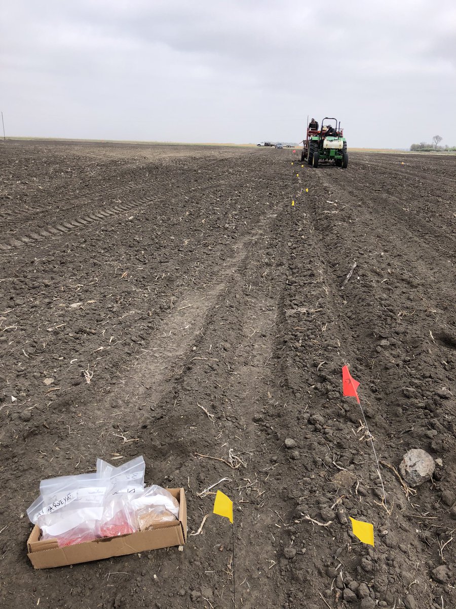 roody32609's tweet photo. Today on #WirewormWednesday we are out wireworms hunting! #Teraxxa demo plots planted in Central North Dakotaπ https://t.co/dB6xPOP8t3