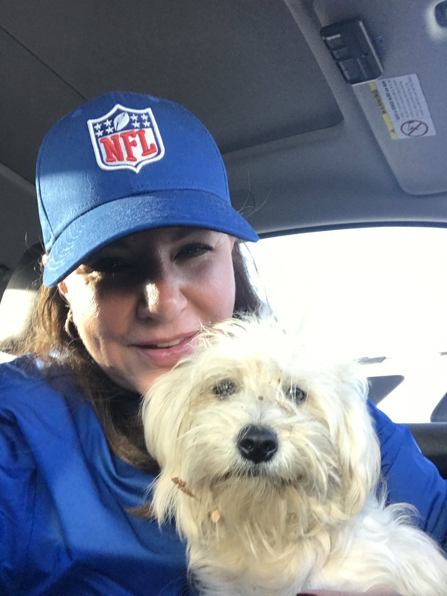 xrayiz's tweet photo. Found this little one under a car at la coliseum after an @RamsNFL game. No chip, couldn’t find anyone looking for lost pup, so she kept us! A girl named Dave 🤣 #NationalRescueDogDay @KTLAMorningNews @henrydicarlo #tailsthatteach @TailsThat https://t.co/3vFKgs994E