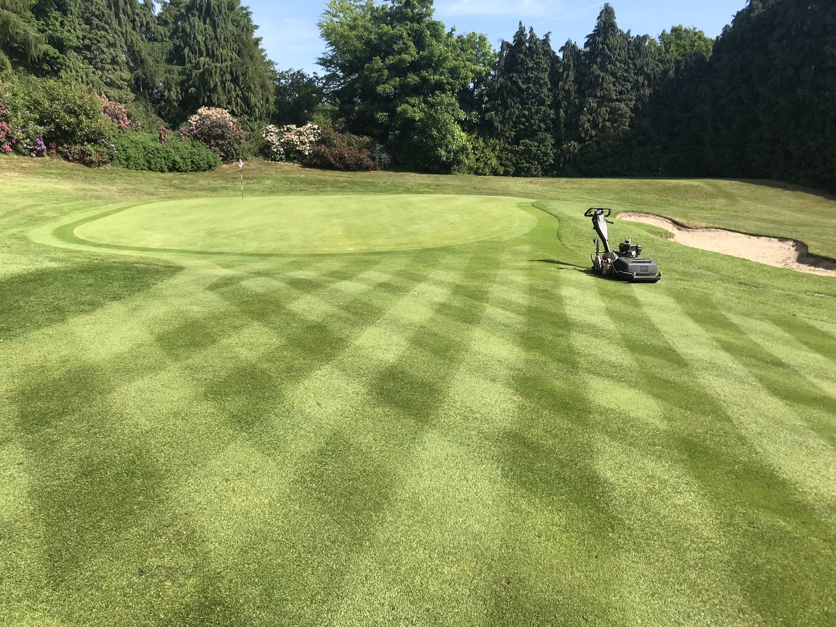 Tees &amp; Approaches coming up nice with our new Toro 1021 hand mowers. <a href="/TheBigToroMan/">Jon Lewis</a> <a href="/ToroGolf/">Toro Golf</a> <a href="/WalmleyGC/">Walmley Golf Club</a>