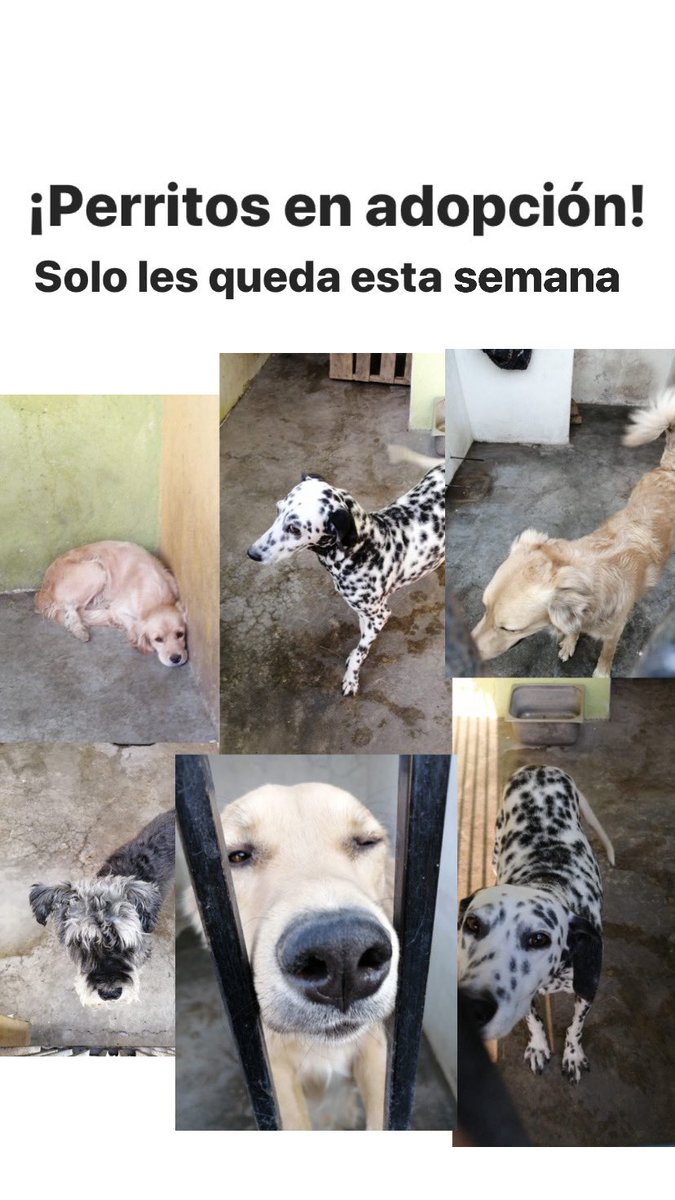 scarlettcda's tweet photo. Twitter haz tu magia por favor 🙏🏻  DM para más información amigos https://t.co/rMVguP0gBN