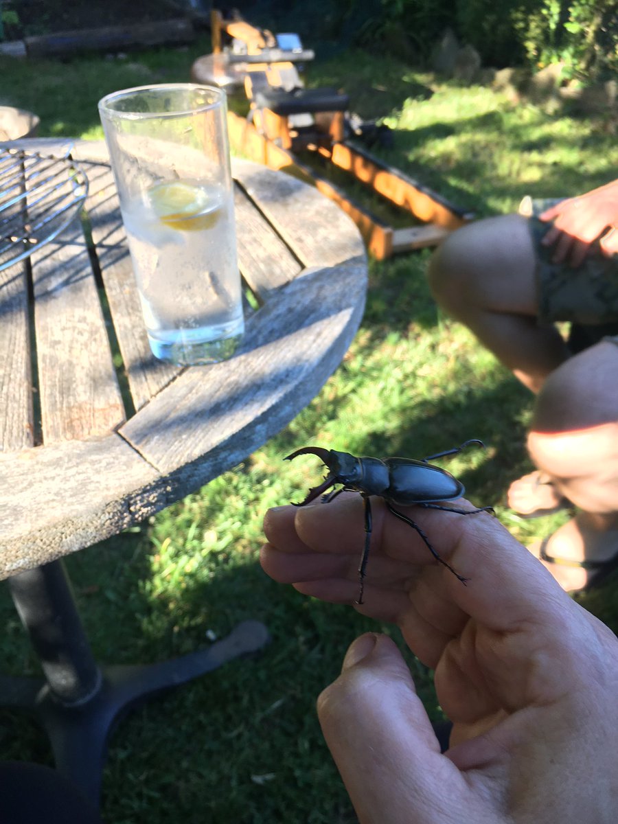 Dr Erica McAlister tweet media