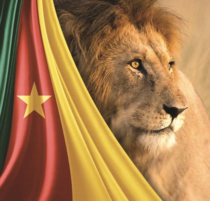 SergeryT's tweet image. Happy National Day #Cameroon #237 #ToAll #FrenchandEnglishSpeaking