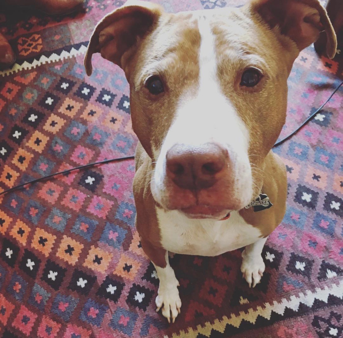 Rachael Ray tweet media