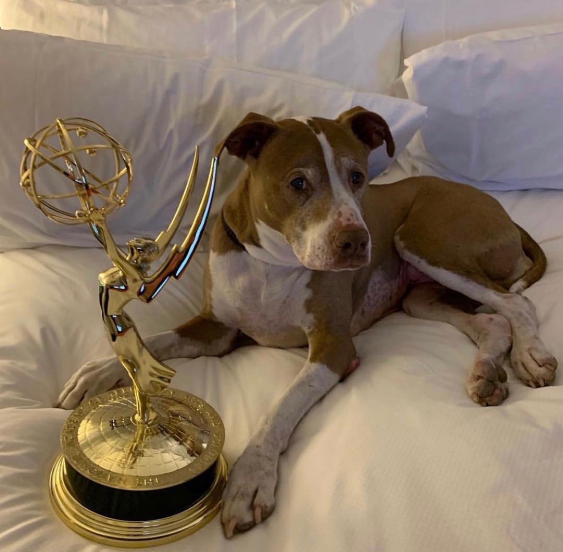 Rachael Ray tweet media