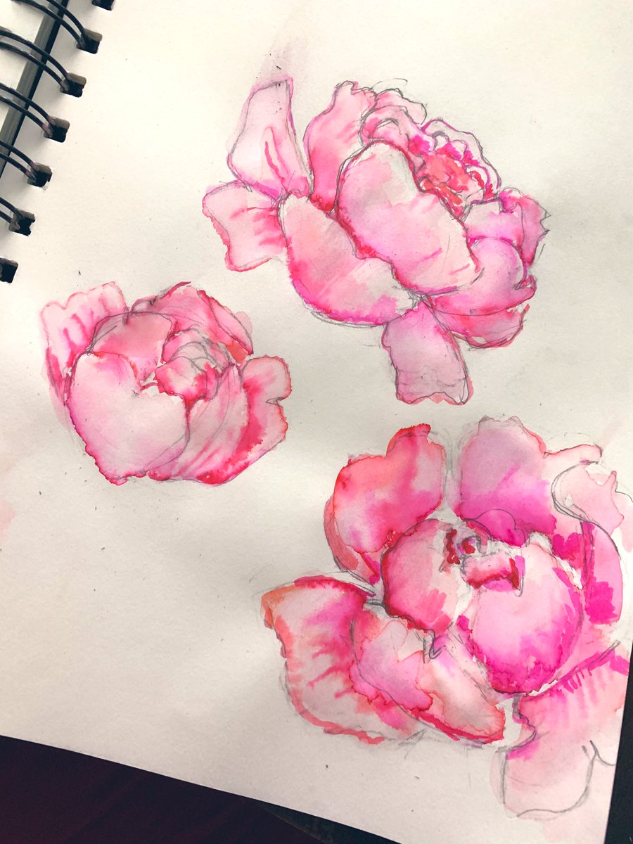 trying my hand at florals