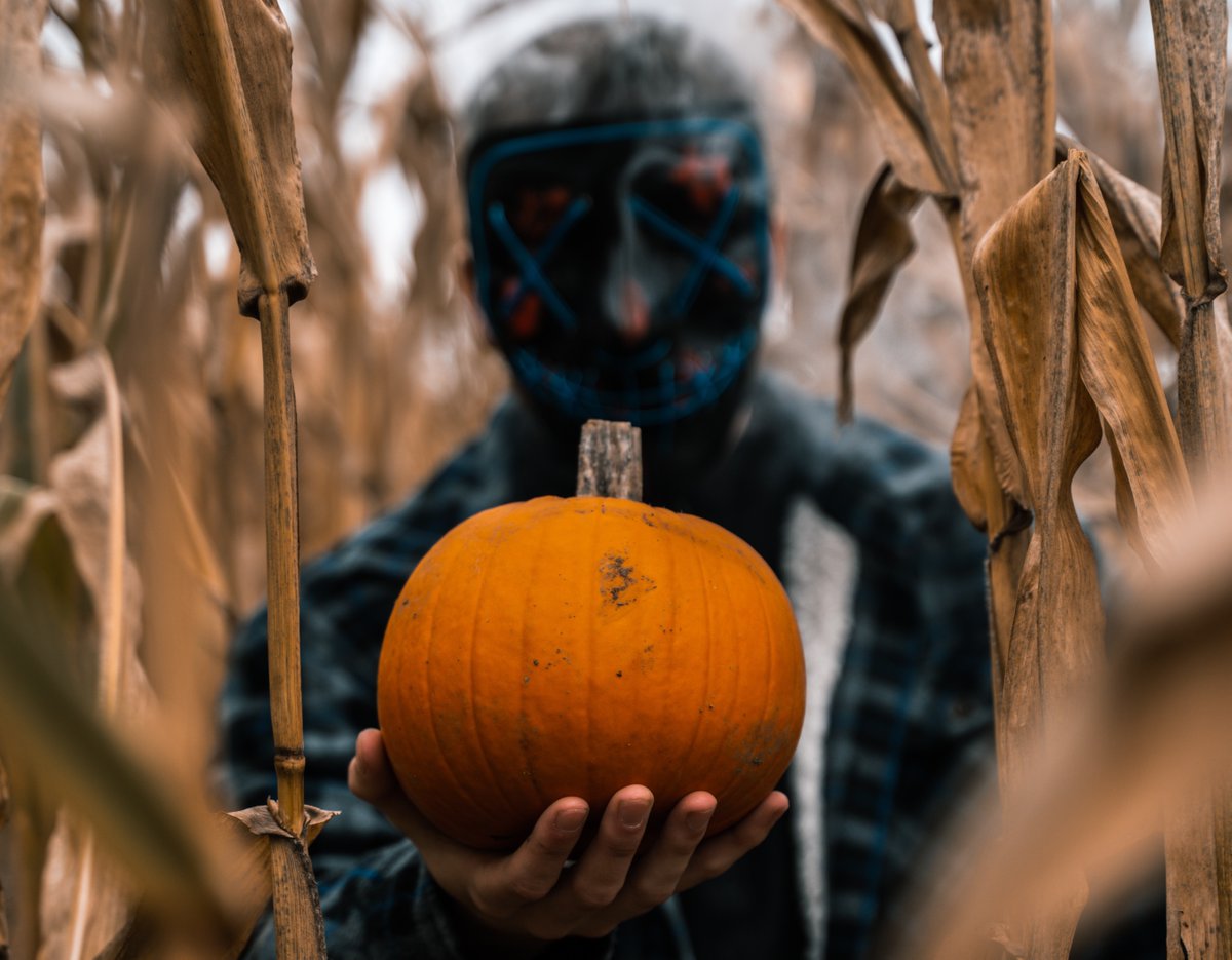 After a year marked by global uncertainty, will guests want to experience the scares of haunt attractions? Sociologist and fear expert Margee Kerr says yes, now more than ever. bit.ly/3e1cLEU