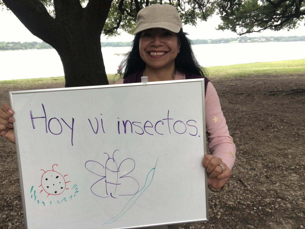 GentryLoly's tweet photo. #insects #engaginglearning #prekscience #prekclass #bilingual #dobiestars #exploringnature #RISDconnects #scientistintraining https://t.co/lPKcgQpwif