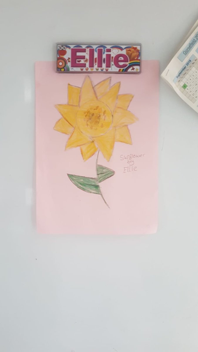 radcliffe78's tweet photo. @Gorsefield #5JB Elouise sunflower, she loves the sun and flowers, but she cant wait to get back to what will be the new normal and see her friends at school #GetThroughThis https://t.co/dQzoQoq1Fl