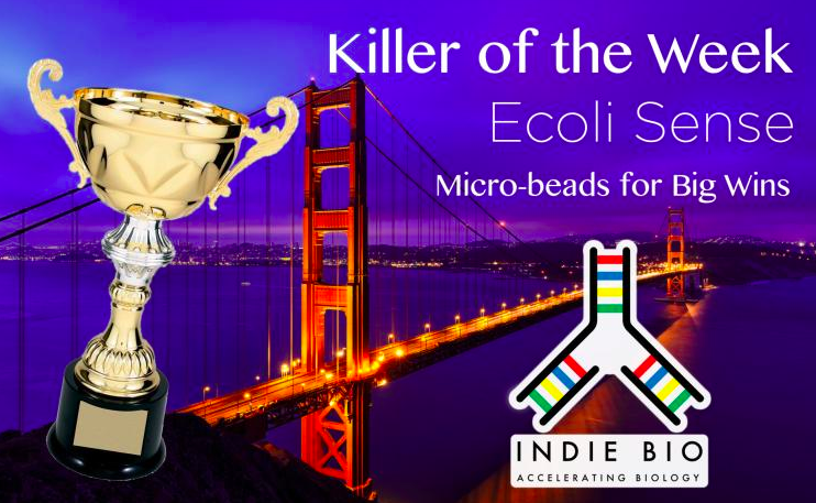 SOSV SF & NY (Fka IndieBio) tweet media