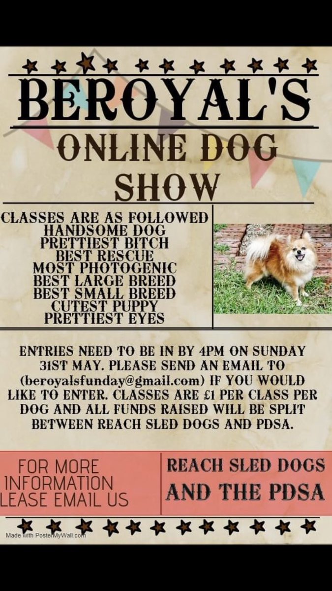 Our first ever online dog show. #dogsoftwitter #dogsofchester #dogs #charitydogshow #charityevent