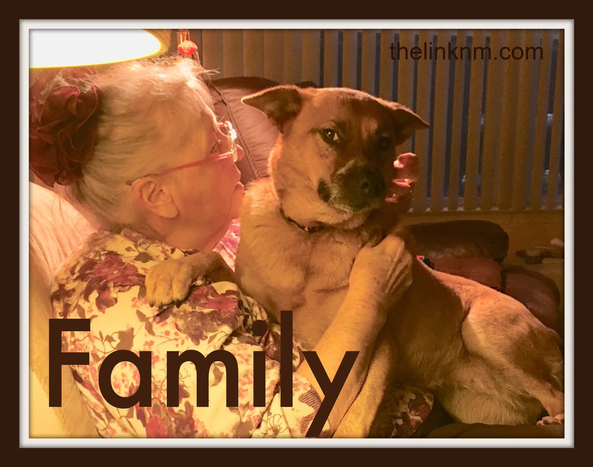 thelinknm's tweet photo. Remember to check in with your family and friends, especially homebound elders. Make sure they, and their companion animals, have everything they need so they can stay home and stay safe.

#positivelinks #animalsarefamilytoo https://t.co/9nhXiRY0lY