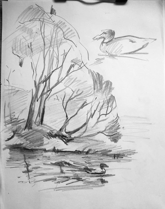 Some plein air sketches 