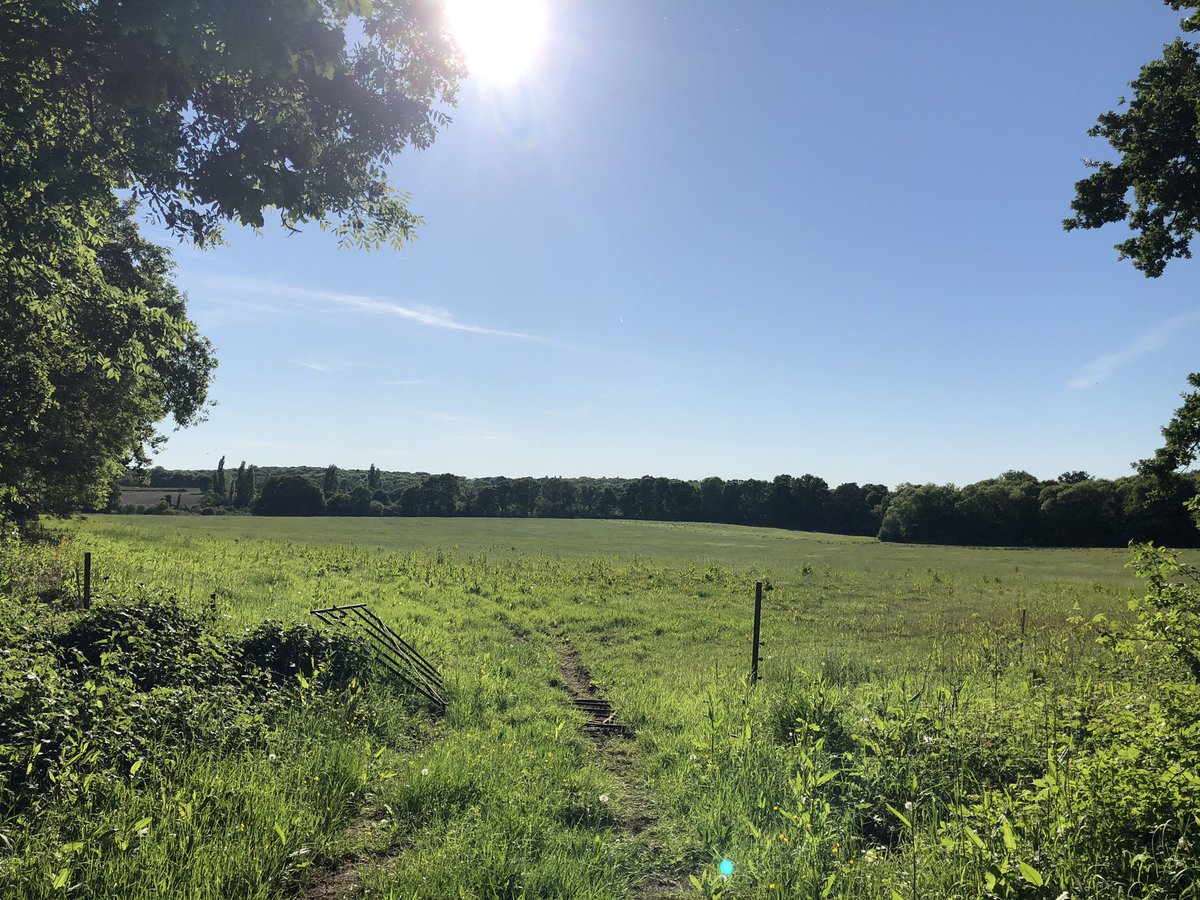 I’ve done my #WalkFromHome (a run) in aid of the @QPRtrust Tiger Cubs. Thanks for the nomination @JordanHayes9.

I nominate @TomNeale14, @Ben_99c  and @SportsMedPete 

▶️ uk.virginmoneygiving.com/fundraiser-dis…