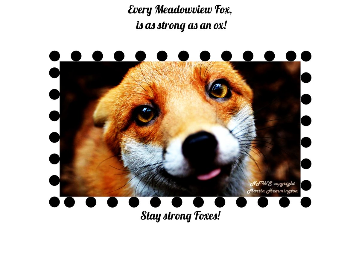 MsJacobsArt68's tweet photo. Kyle T says stay strong foxes! @Meadowview68 #artchallenges68 https://t.co/5iTFfKhBeo