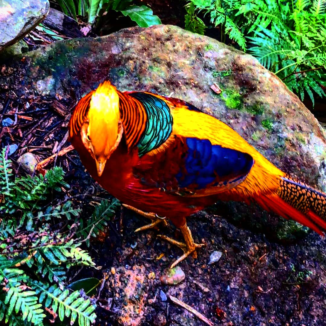 AJahode's tweet photo. #مسابقه_عبدالاله_بن_فهد
#Australia #GoldCoast #byme 😊 https://t.co/9Pf1aoHsD1