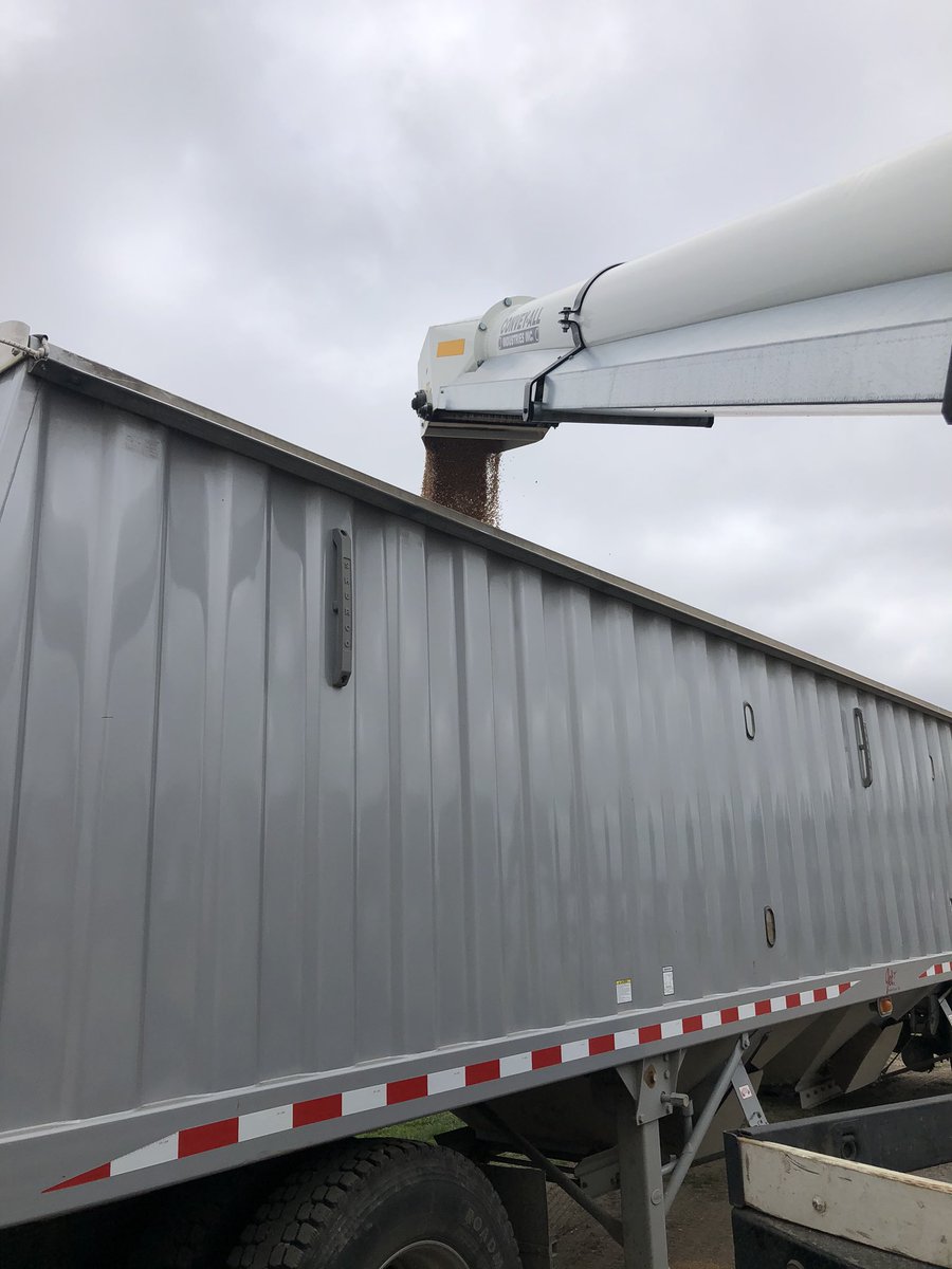 StablerJon's tweet photo. We’re making a push this week @ChsAg getting the last of @WestBredWheat out and rolling on beans! 11X8 @DKAS_ND_N_MN headed for another great year! https://t.co/5K4sKXkmoS