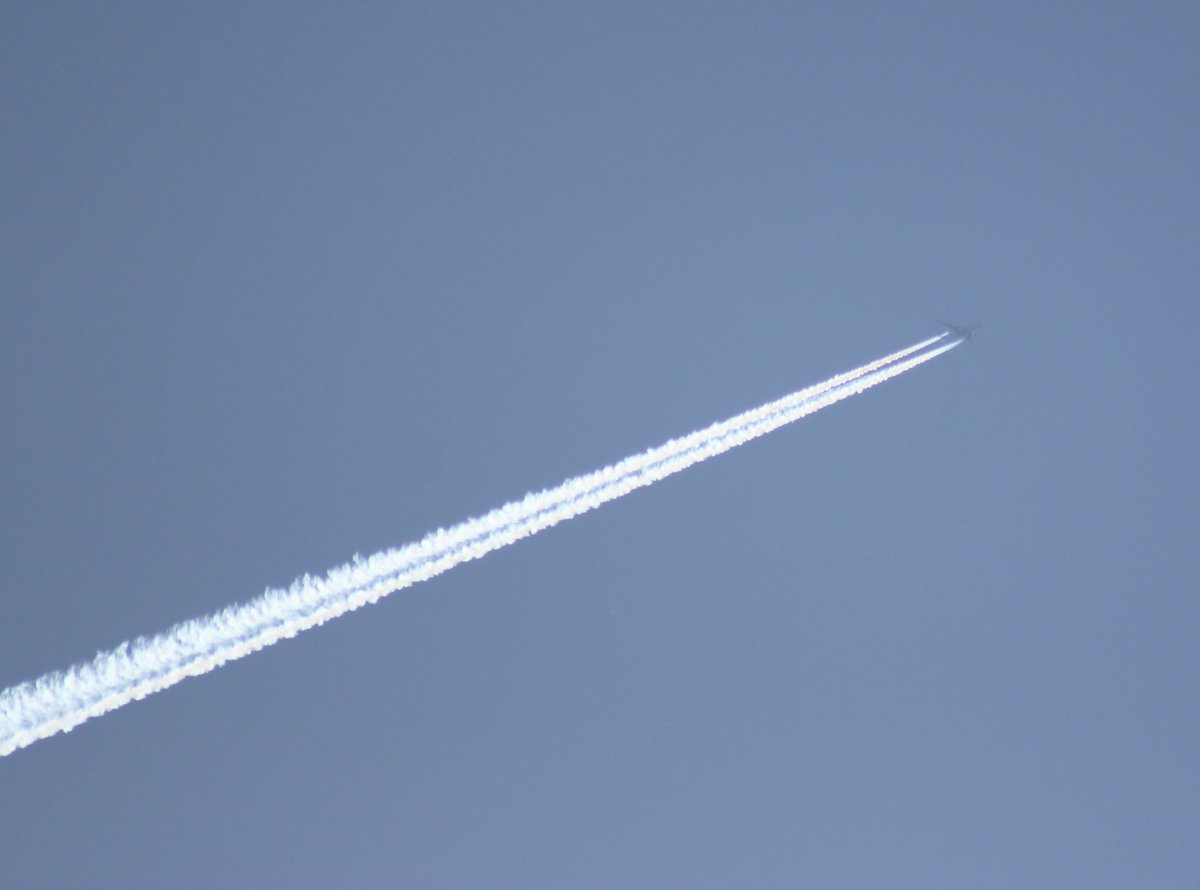 chris_aerospace's tweet photo. @nuclearseas0ns_ @Sx60Contrails I thought my eyeballs fell out. Thanks to blindingly sun. I know as an astronomer: never look directly at the Sun! The Sun beaming its rays over 40° degrees! I had to retort to use my back bedroom window. #NT331QT #Avianca #Cargo #A332F :) https://t.co/1t65cWn9rh